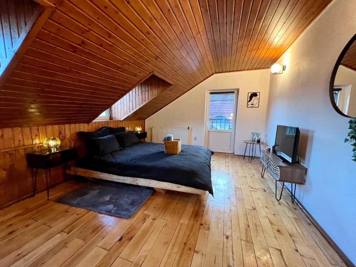 Nacada Studio By Hyco Apartment Sighisoara Exterior photo