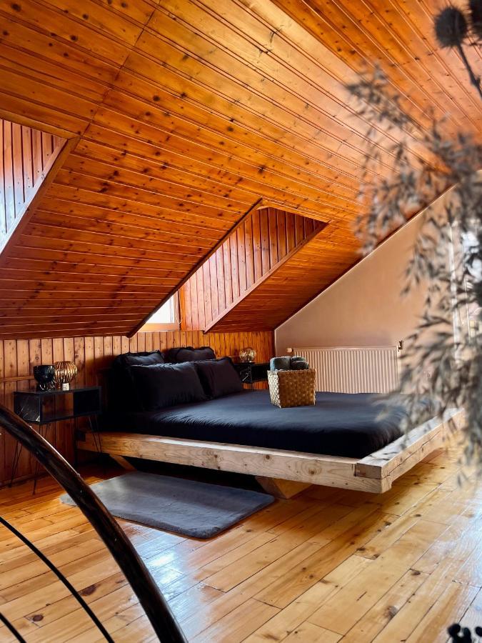 Nacada Studio By Hyco Apartment Sighisoara Exterior photo